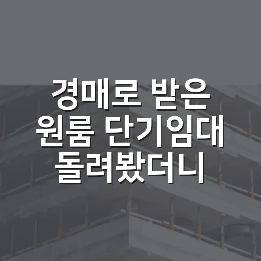 경매로 받은 원룸 단기임대 돌려봤더니 돈 되는 구간과 위험한 구간이 딱 갈렸습니다 - 요약