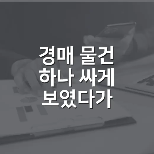 경매 물건 하나 싸게 보였다가 보증금 날릴 뻔한 이야기 - 요약