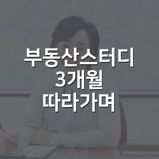 부동산스터디 3개월 따라가며 입찰장까지 가봤더니 보인 진짜 차이 - 요약