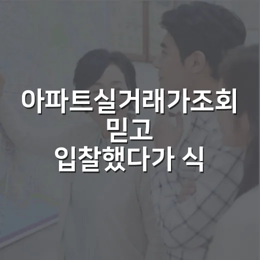아파트실거래가조회 믿고 입찰했다가 식은땀 난 후기 - 요약