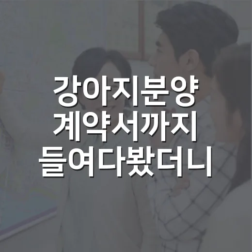 강아지분양 계약서까지 들여다봤더니, 경매보다 더 무서운 함정도 있었습니다 - 요약
