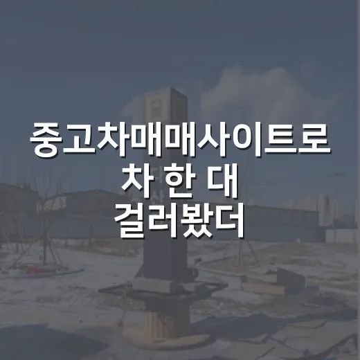 중고차매매사이트로 차 한 대 걸러봤더니, 경매 물건 보듯 봐야 산다 - 요약