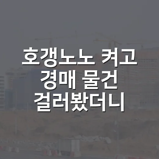 호갱노노 켜고 경매 물건 걸러봤더니, 입찰 전 보이는 것들이 달라졌습니다 - 요약