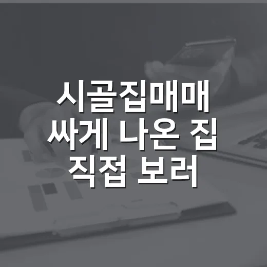 시골집매매 싸게 나온 집 직접 보러 갔다가 발길 돌린 이야기 - 요약