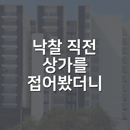 낙찰 직전 상가를 접어봤더니 보인 상가매매의 진짜 숫자 - 요약