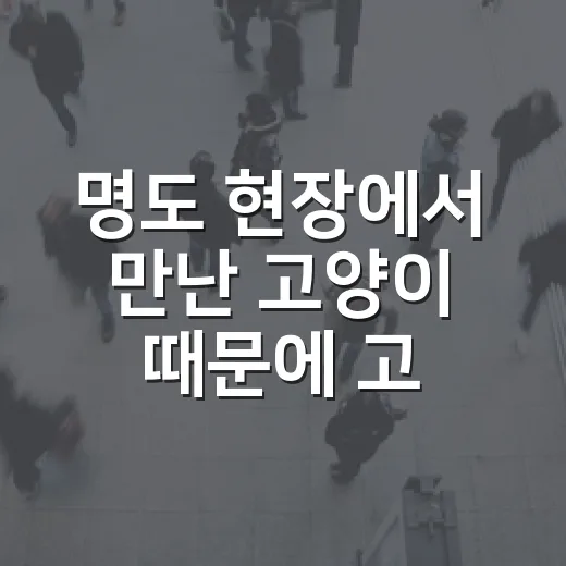 명도 현장에서 만난 고양이 때문에 고양이무료분양을 직접 따져본 이야기 - 요약