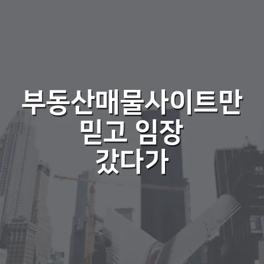 부동산매물사이트만 믿고 임장 갔다가 발품 두 번 판 이야기 - 요약