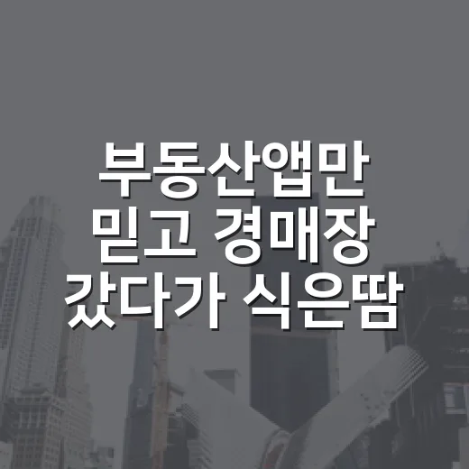 부동산앱만 믿고 경매장 갔다가 식은땀 난 이야기 - 요약