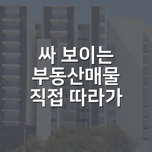 싸 보이는 부동산매물 직접 따라가 봤더니 입찰장보다 현장이 먼저였습니다 - 요약