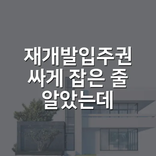 재개발입주권 싸게 잡은 줄 알았는데 분담금표 보고 멈춘 이야기 - 요약