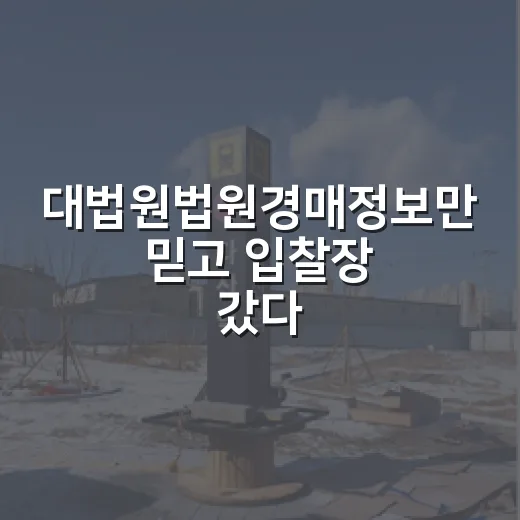 대법원법원경매정보만 믿고 입찰장 갔다가 식은땀 난 이야기 - 요약