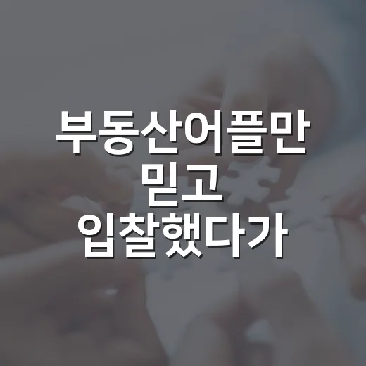 부동산어플만 믿고 입찰했다가 식은땀 난 이야기 - 요약
