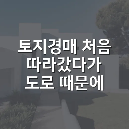 토지경매 처음 따라갔다가 도로 때문에 손 뗀 이야기 - 요약