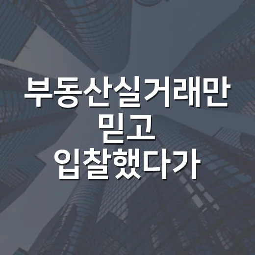 부동산실거래만 믿고 입찰했다가 2천만 원 차이 난 진짜 이야기 - 요약