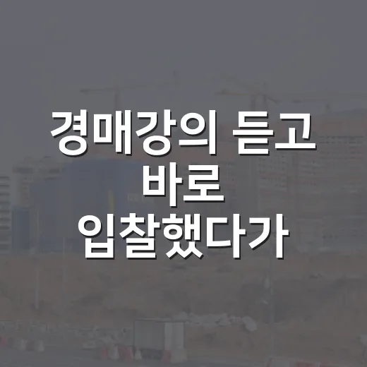 경매강의 듣고 바로 입찰했다가 현장에서 식은땀 난 이야기 - 요약