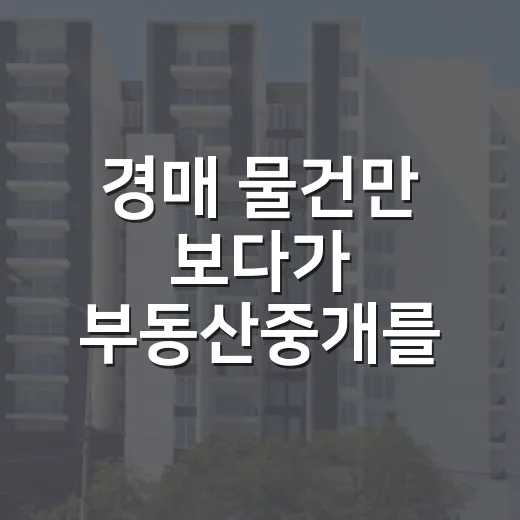 경매 물건만 보다가 부동산중개를 직접 써봤더니 보인 것들 - 요약