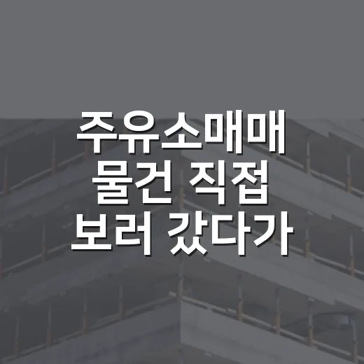 주유소매매 물건 직접 보러 갔다가 계약서보다 흙부터 본 이야기 - 요약