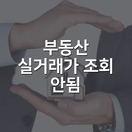 부동산 실거래가 조회 안됨, 입찰 전날 직접 겪어본 진짜 이유 - 요약