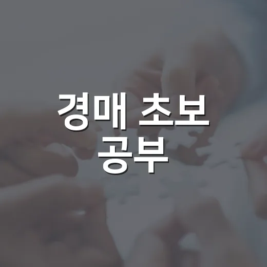 경매 초보 공부, 입찰장 몇 번 따라가 봤더니 진짜로 보이던 것들 - 요약