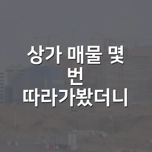 상가 매물 몇 번 따라가봤더니, 싸 보이는 물건일수록 먼저 봐야 할 것들 - 요약