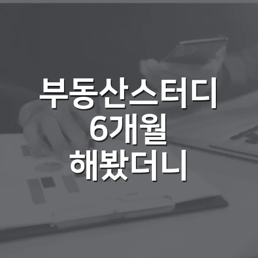부동산스터디 6개월 해봤더니, 입찰장에서 진짜 보인 것들 - 요약