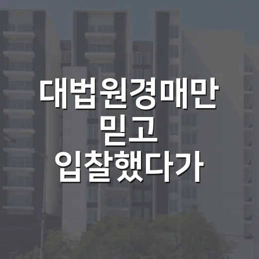 대법원경매만 믿고 입찰했다가 현장에서 식은땀 난 이야기 - 요약