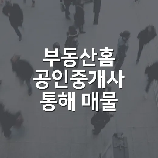 부동산홈 공인중개사 통해 매물 확인하고 법원까지 가봤더니 - 요약