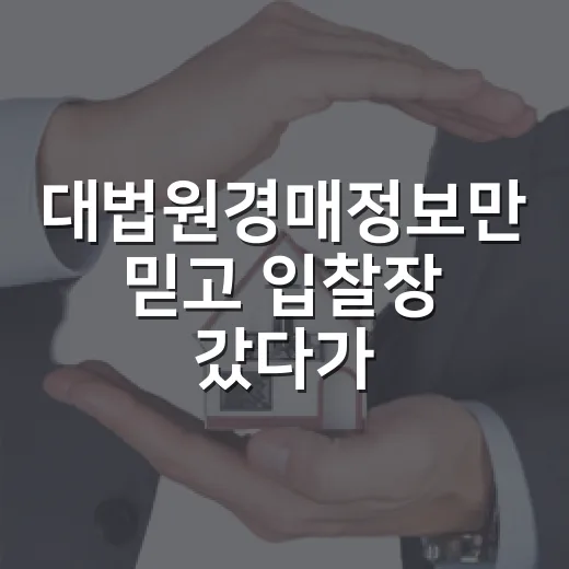 대법원경매정보만 믿고 입찰장 갔다가 식은땀 난 이야기 - 요약