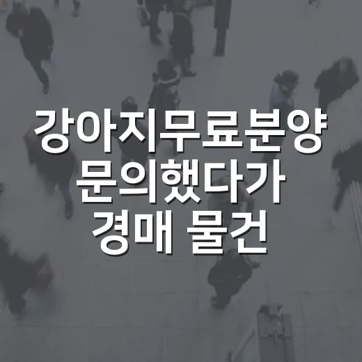 강아지무료분양 문의했다가 경매 물건 보듯 체크하게 된 이야기 - 요약