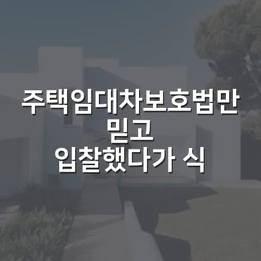 주택임대차보호법만 믿고 입찰했다가 식은땀 난 날 - 요약
