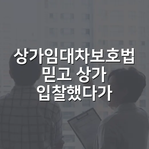 상가임대차보호법 믿고 상가 입찰했다가 식은땀 난 이야기 - 요약