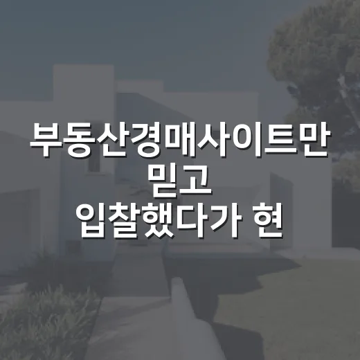부동산경매사이트만 믿고 입찰했다가 현장에서 식은땀 난 이야기 - 요약