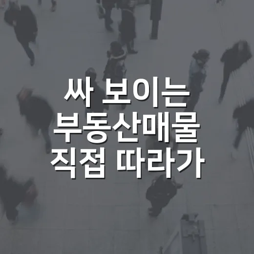 싸 보이는 부동산매물 직접 따라가 봤더니 현장에서 바로 보인 것들 - 요약