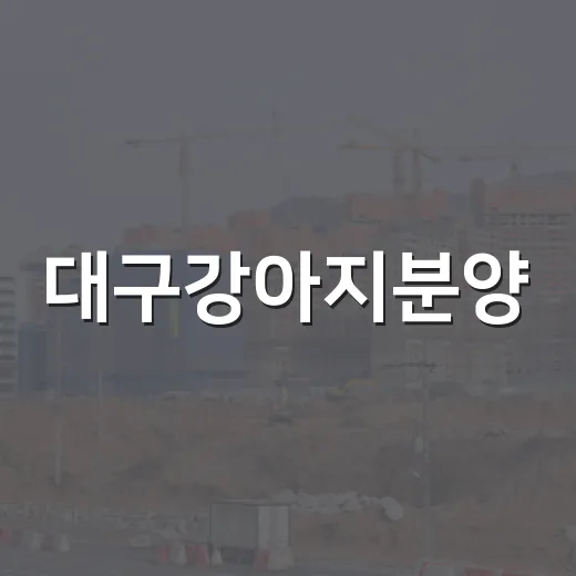 대구강아지분양, 경매 물건 보듯 따져봤더니 보이는 것들 - 요약