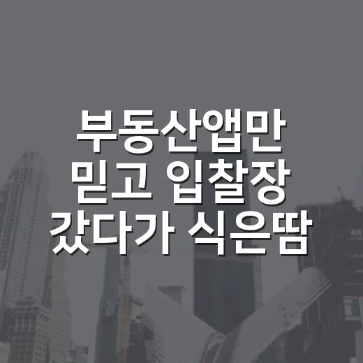 부동산앱만 믿고 입찰장 갔다가 식은땀 난 이야기 - 요약