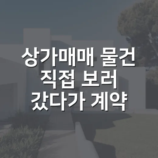 상가매매 물건 직접 보러 갔다가 계약서보다 먼저 본 것들 - 요약