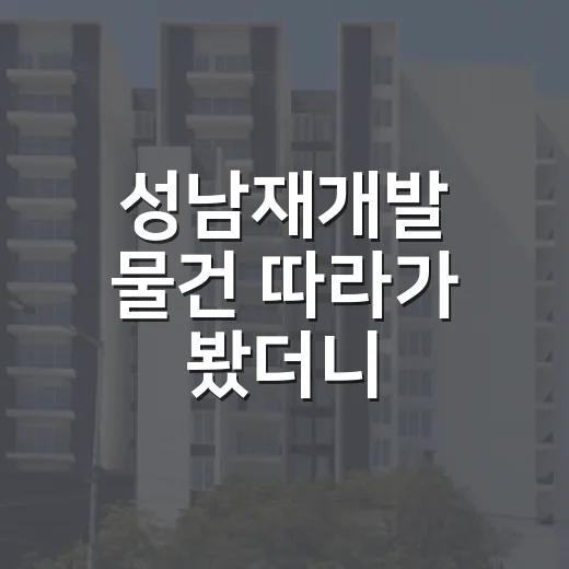 성남재개발 물건 따라가 봤더니, 싼 가격보다 먼저 봐야 할 게 있더군요 - 요약