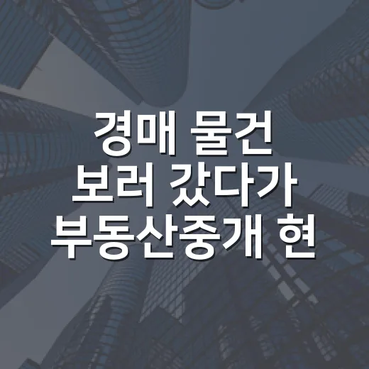 경매 물건 보러 갔다가 부동산중개 현장에서 배운 진짜 이야기 - 요약