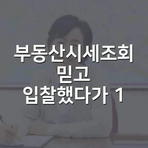 부동산시세조회 믿고 입찰했다가 1,800만 원 날릴 뻔한 이야기 - 요약