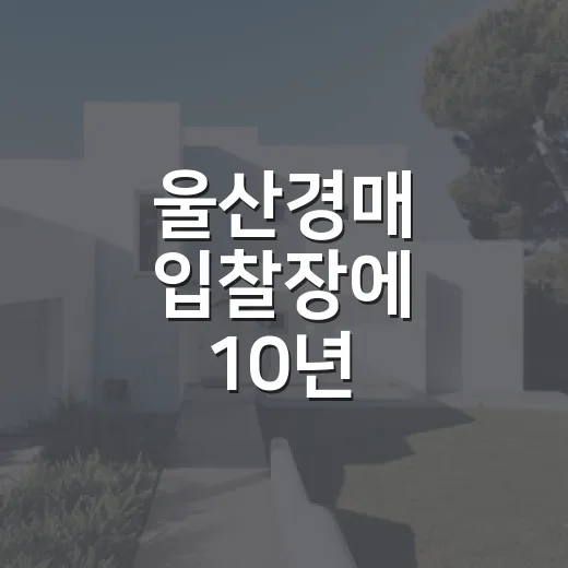 울산경매 입찰장에 10년 다녀보니 보이는 진짜 위험한 물건들 - 요약