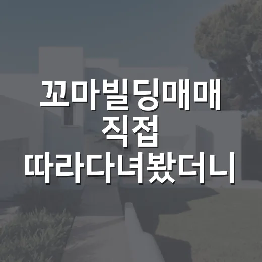 꼬마빌딩매매 직접 따라다녀봤더니, 초보가 놓치는 돈의 구멍들 - 요약