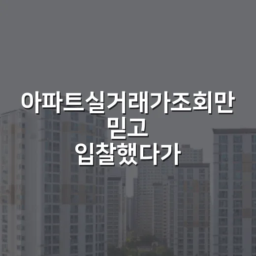 아파트실거래가조회만 믿고 입찰했다가 식은땀 났던 이야기 - 요약