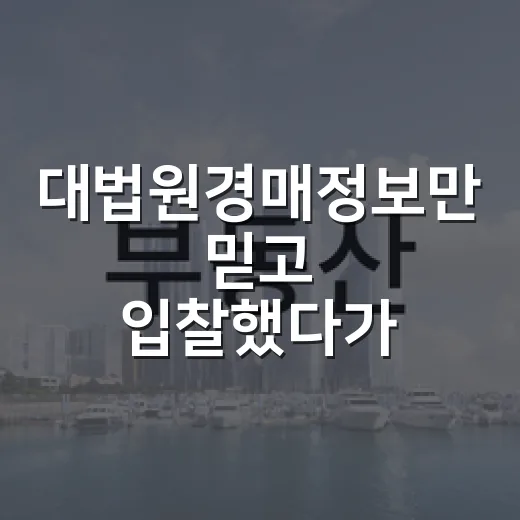 대법원경매정보만 믿고 입찰했다가 현장에서 식은땀 난 이야기 - 요약