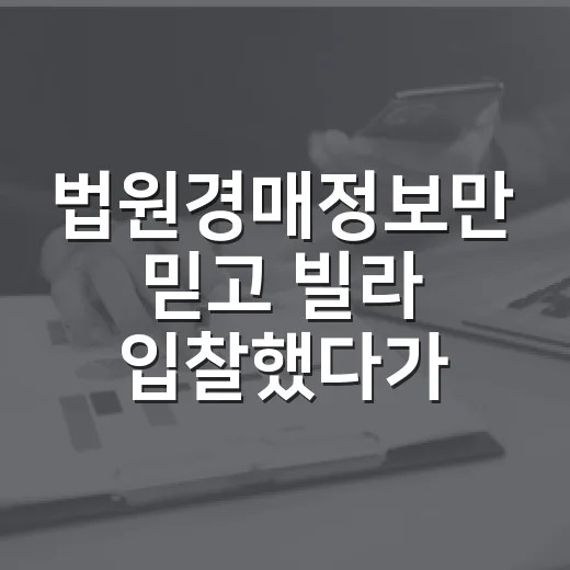 법원경매정보만 믿고 빌라 입찰했다가 현장에서 식은땀 난 이야기 - 요약