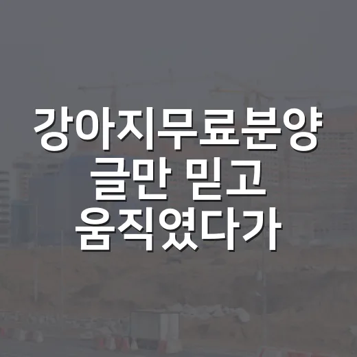 강아지무료분양 글만 믿고 움직였다가 비용표 다시 짜본 이야기 - 요약