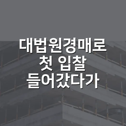 대법원경매로 첫 입찰 들어갔다가 입찰표 앞에서 손 떨렸던 진짜 이야기 - 요약