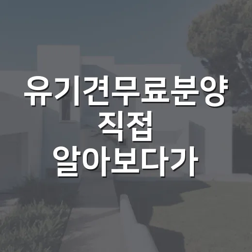 유기견무료분양 직접 알아보다가, 경매 물건 보듯 체크한 진짜 비용 이야기 - 요약