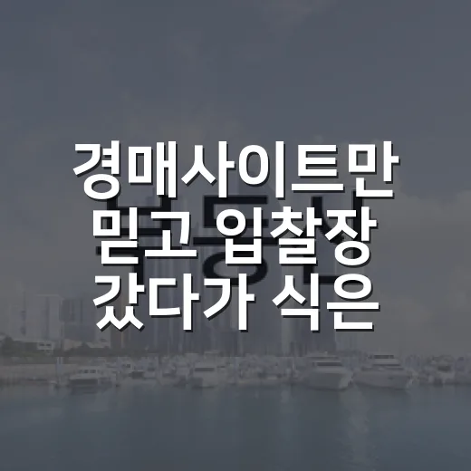 경매사이트만 믿고 입찰장 갔다가 식은땀 흘린 이야기 - 요약