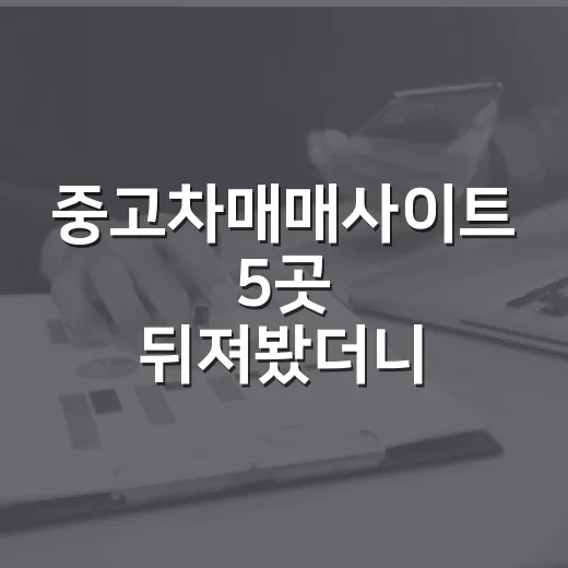 중고차매매사이트 5곳 뒤져봤더니, 경매 권리분석이랑 똑같이 봐야 하더라 - 요약
