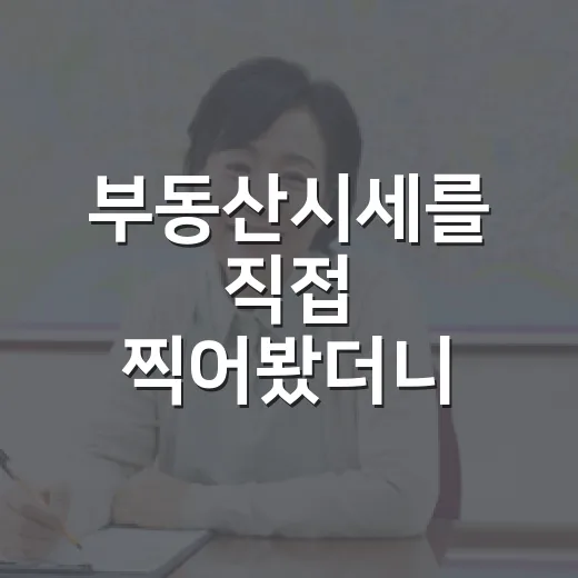 부동산시세를 직접 찍어봤더니, 호가만 믿은 입찰이 왜 위험한지 보였다 - 요약
